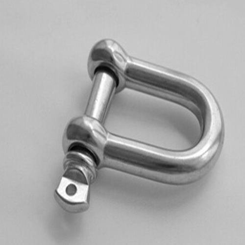 Stainless Steel 316 304 D-Shackle
